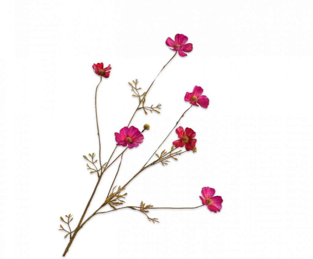 Silk-Ka Cosmos Flower