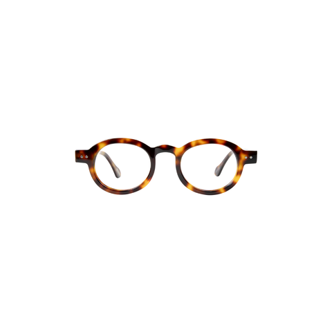 Frank and Lucie Eyeball Turtle Shade