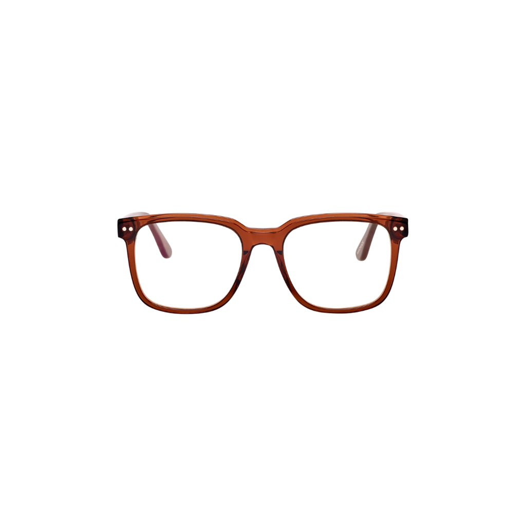 Frank and Lucie Sunglass Eclips Secure