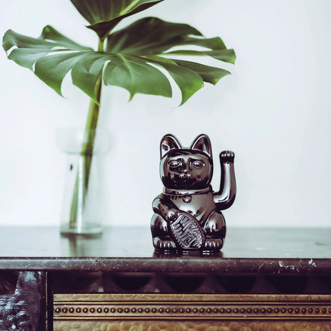 Donkey Lucky Cat Glossy Black