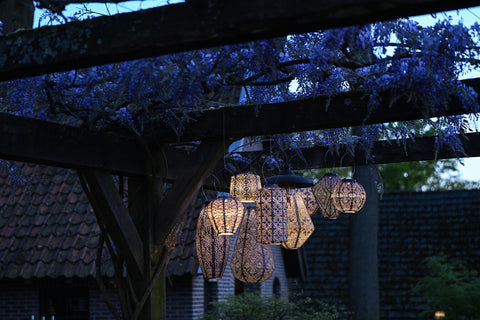 Lumiz Drop Solar LED Lantern