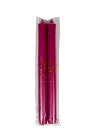 Caspari Duet Straight Taper 25CM Candles