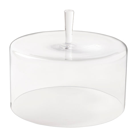 Coupole Glass Dome Cloche Cover