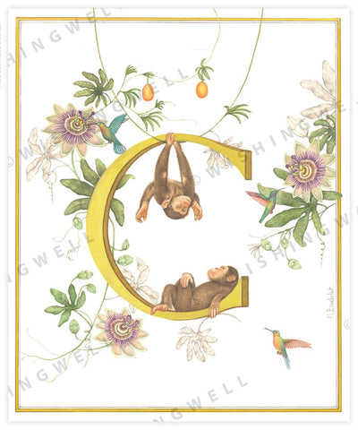 Wishing Well Alphabet Little Greeting Card