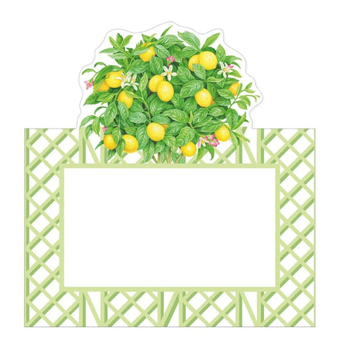 Caspari Place Card (Set of 8)