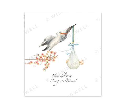 Wishing Well Greeting Card Baby New Delivery Congratulations!