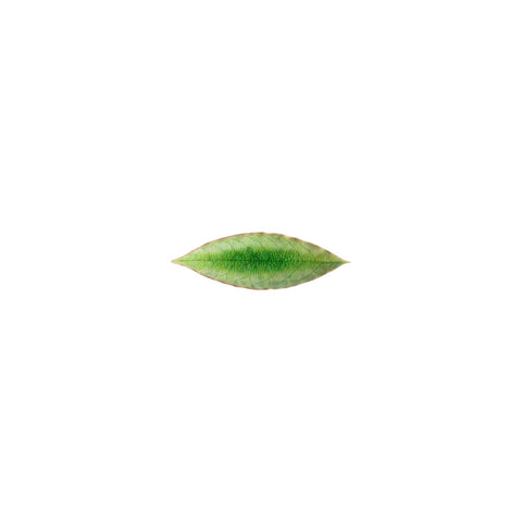 Riviera Laurel Leaf Plate 18cm